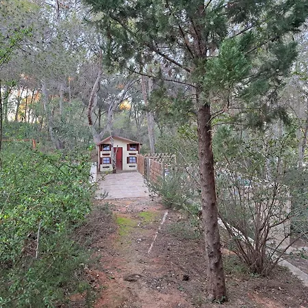 La Casa Del Bosque Casa de Férias