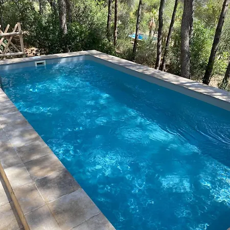 La Casa Del Bosque