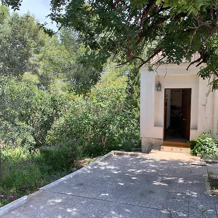 La Casa Del Bosque
