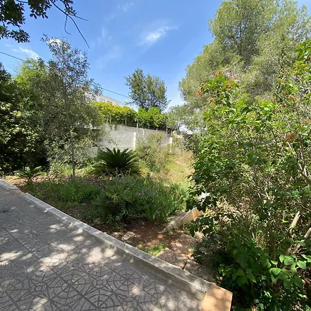 La Casa Del Bosque