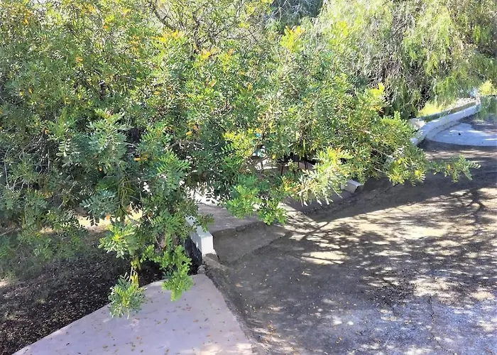 La Casa Del Bosque * Valência