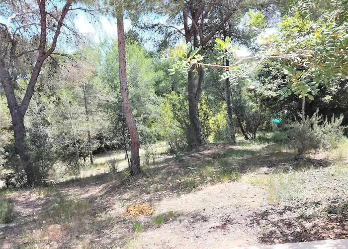 Casa de Férias La Casa Del Bosque Valência