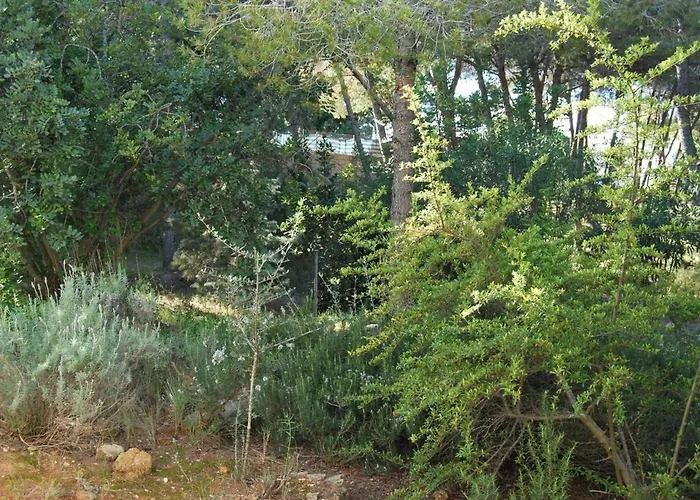 La Casa Del Bosque Semesterbostad