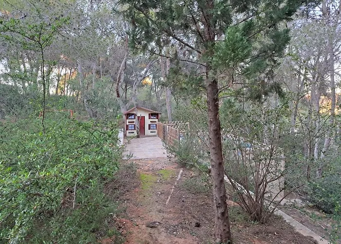 La Casa Del Bosque Semesterbostad Valencia